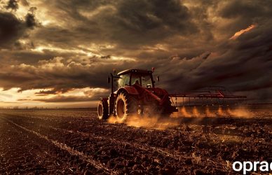 Praca w branży Rolniczej | Oferty Pracy